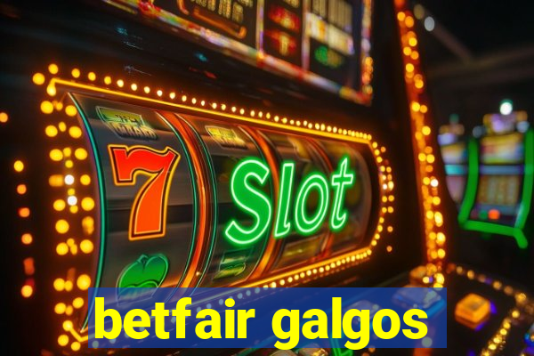 betfair galgos