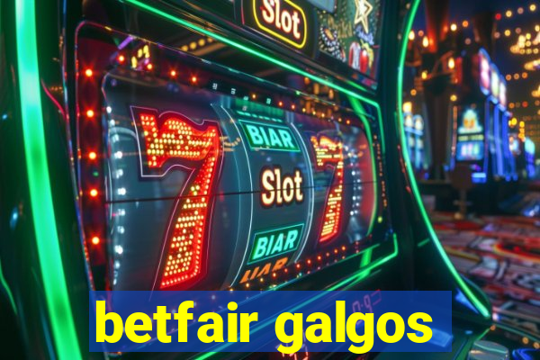 betfair galgos