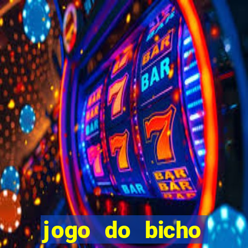 jogo do bicho documentario globoplay