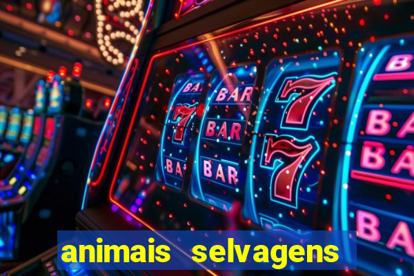 animais selvagens fotos e nomes