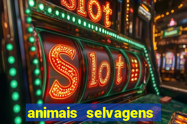 animais selvagens fotos e nomes