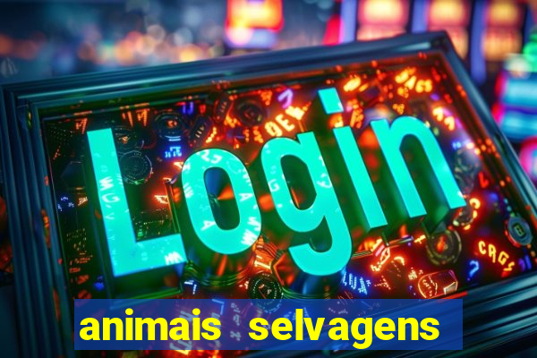 animais selvagens fotos e nomes