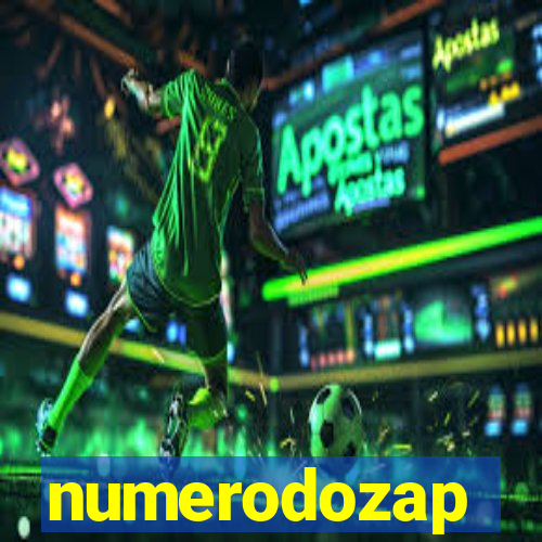 numerodozap