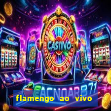 flamengo ao vivo multi canais