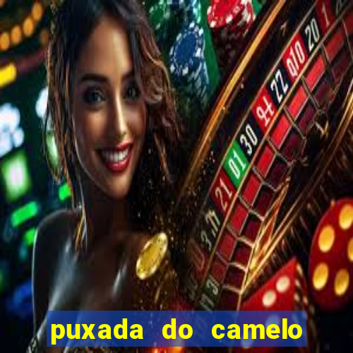 puxada do camelo jogo do bicho