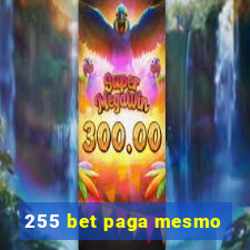 255 bet paga mesmo