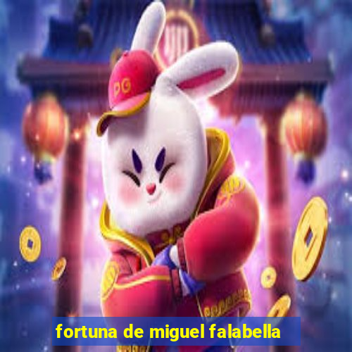 fortuna de miguel falabella