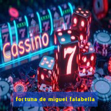 fortuna de miguel falabella