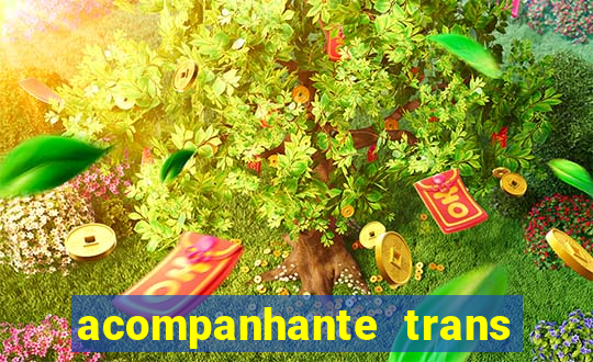 acompanhante trans de santos