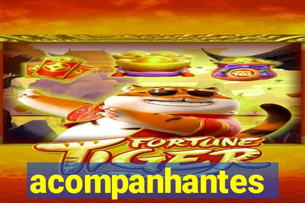 acompanhantes chamadas de video